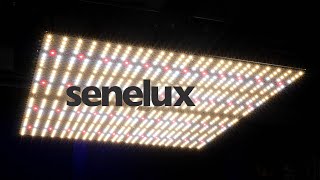 Senelux SE4000 LED Grow light PAR test and review [upl. by Leachim377]