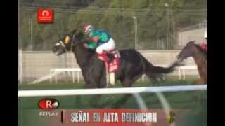 Don Dionisio Ganador de EL DERBY 2013 Video Oficial [upl. by Colver571]