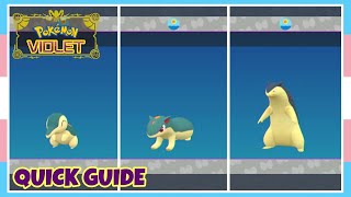 How To Evolve Cyndaquil Into Quilava Into Typhlosion In Pokemon Scarlet amp Violet  Quick Guide [upl. by Alial]