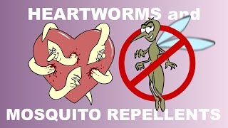 Heartworm Prevention with Mosquito Repellents  Plain and Simple [upl. by Dyche]