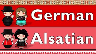 GERMANIC GERMAN amp ALSATIAN [upl. by Sager]