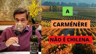 Carménère sua origem história e características [upl. by Julide418]