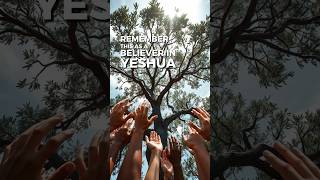 Grafted In A Powerful Message of Redemption  Romans 11 [upl. by Emmanuel]