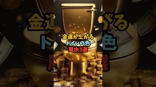 金運が上がるトイレの色風水3選 スピリチュアル サイン 金運 トイレ 風水 shorts [upl. by Munt]