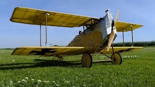 Aviatik Berg DI electric powered RC model first flight [upl. by Wattenberg]