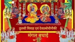 Tulsi Vivah🌱  Dev Uthani Ekadashi govardhan trending PushtiVachanamrut pushtisatsangsagar538 [upl. by Merow]