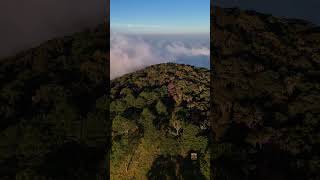 Mount Sawtooth Summit Unforgettable Views You Have to See hiking mountains camping [upl. by Tecu]