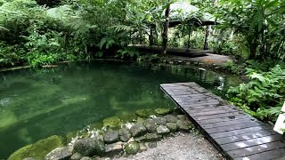 Rumah Kebun Camping Ground  Kepala ikan dalam hutan  View tapak disini [upl. by Merl]