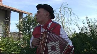 La serenata a Montecalvo Irpino AV [upl. by Naerol]