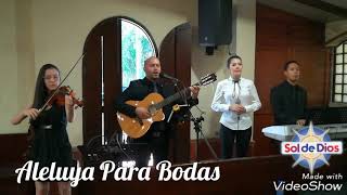 ALELUYA PARA BODAS Canto antes del Evangelio MEDELLÍN 2018 [upl. by Glyn]