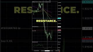 How to Trade the Double Bottom Pattern [upl. by Freeborn]