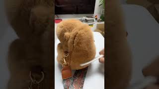 Wow Capybara is Back😱 cute satisfying shortsfeed shorts capybara fyp [upl. by Leandra618]