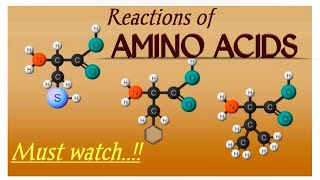 General reactions of amino acids  Transamination  Deamination  Decarboxylation  Biochemistry [upl. by Aidnama]