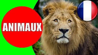 Les Animaux pour les Enfants en Français  Apprendre les bruits danimaux pour bébé [upl. by Qirat]