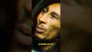 Bob Marley Documentary A Journey Through Reggae History [upl. by Amjan]