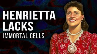 Henrietta Lacks How Her Cancer Cells Changed The World [upl. by Hanway]