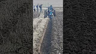 Ferguson TEF20 Tractor at Newbury Ploughing Match  Saturday 19th October 2024 [upl. by De Witt382]