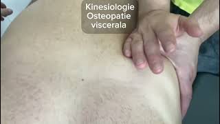 Visceral kinesiology and osteopathy [upl. by Aleacem]