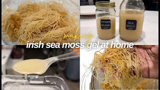 how to make irish sea moss gel at home affordable for dietary supplement and mineral intake [upl. by Eladnek911]