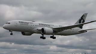 Enrique Piñeyro  Boeing 7878 Dreamliner  Landing [upl. by Anahsar313]