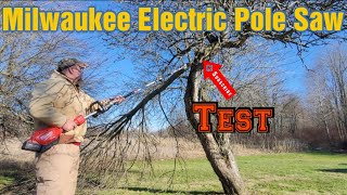 Milwaukee Electric Pole Saw  Time for a Test [upl. by Akiwak]