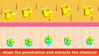 Mechanism of Diphoterine® Solution [upl. by Wendolyn]