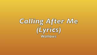 Calling After Me  Wallows Lyrics [upl. by Jenette]