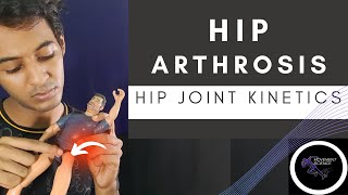 HIP JOINT ARTHROSIS HIP COMPLEX BIOMECHANICSPhysiotherapy Tutorial [upl. by Freud]