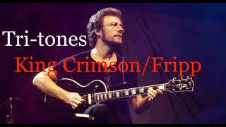 Robert FrippKingCrimsonTritonesGuitar Technique [upl. by Seluj]