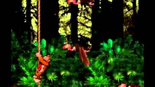 Forest Frenzy 10 Hours  Donkey Kong Country [upl. by Grata443]