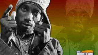 sizzla  shes like a roses [upl. by Nerak]