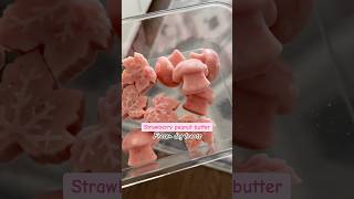 Strawberry peanut butter frozen dog treat recipe [upl. by Oirotciv]