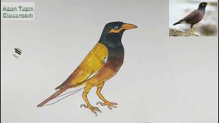 5 দিয়ে শালিক পাখি আঁকা pakhi drawing azantazin [upl. by Rodrigo]