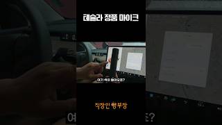 테슬라를 노래방으로 테슬라 전용 마이크 출시 [upl. by Noiztneb457]