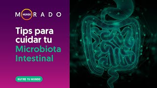 Mundo Morado 275 Tips para cuidar tu Microbiota Intestinal 05122023 [upl. by Eelyac]