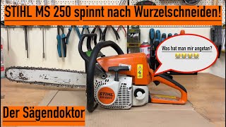 STIHL MS 250 was fehlt ihr stihl kettensäge motorsäge sägendoktor [upl. by Aiht]