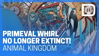 Primeval Whirl Tests After Long Closure  Animal Kingdom [upl. by Yrehcaz]