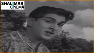 Zamindar Movie 1965  Aa Navvula Kosame Video Song  Nageswara Rao Krishna Kumari [upl. by Channing]