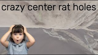 crazy center rat holes watch before there taken [upl. by Alohs569]