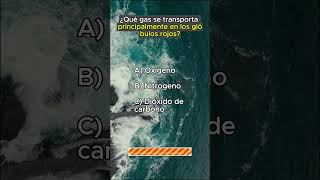 Quiz del Cuerpo Humano Definitivo ¿Puedes Superarlo quiz trivia triviador [upl. by Pirali]