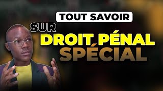 Introduction au droit pénal spécial Tout savoir [upl. by Etem148]