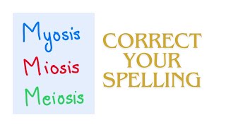 Myosis Miosis Meiosis Mnemonic to learn these spellings Difference between myosis and miosis [upl. by Benenson]