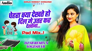 Chehra Kya Dekhte Ho  Pad Sambal Mix  चेहरा क्या देखते हो  DJ SB REMIX YOGESH YB [upl. by Ioyal]