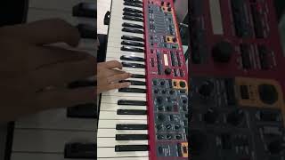 NORD STAGE 2 EX [upl. by Rovit]