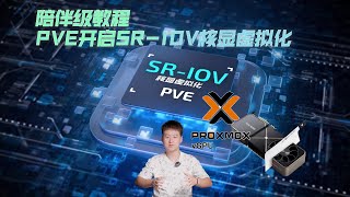 2024陪伴级教程PVE无论什么版本正确开启SRIOV虚拟化核显方式 [upl. by Hamachi298]