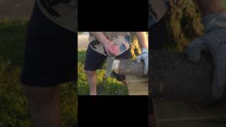 Excalibur survival edc knife bushcraft shorts knifestuffwedo fixedblade smallyoutuber diy [upl. by Swann]