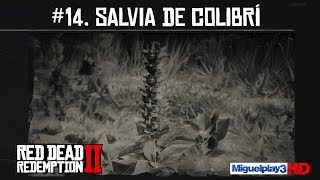 Localización Salvia de Colibrí  14Compendio Plantas  Red dead redemption 2 [upl. by Amilb]