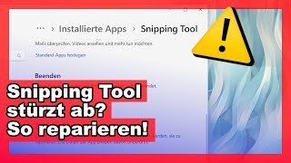 Snipping Tool stürzt ab  Lösung ✅ [upl. by Ahtekahs]