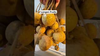 Longan Fruits food fruits yummy cravingsatisfied shorts shorstfeed [upl. by Adrahc]