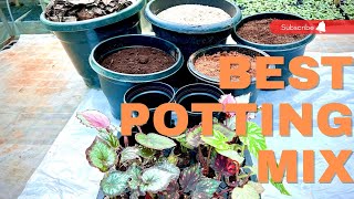 Care and potting tips for Rex Begonia🤩😍😵Tharappel Nursery 9489554968plantsonline plants [upl. by Laitselec]